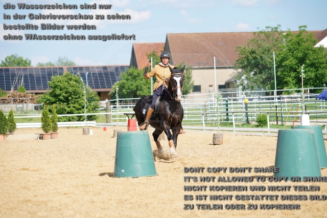 s_K3F07134.JPG